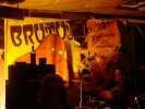 0273_brutus.jpg