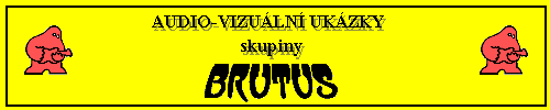 audio-video Brutusu